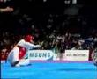 IRAN taekwondo champion:behzad Khodadad