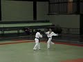 tae kwon do defesa pessoal