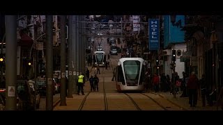 Oran Cité Aux Deux Lions ( I LOVE ORAN )