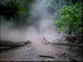 MT. makiling MUD SPRING