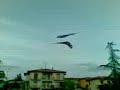 Prova Sbandierata bettolle ceppa Prova Sbandierata bettolle ceppa