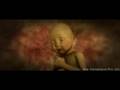 star animation showreel