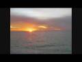 videos de simple song.