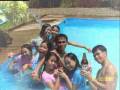 lamok