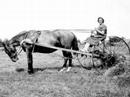 WIL HENDRIKSEN-DORGELO - In memoriam 1920 - 1995