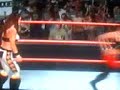smackdown vs raw 2008 women`s championship
