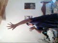 yo bailando 1