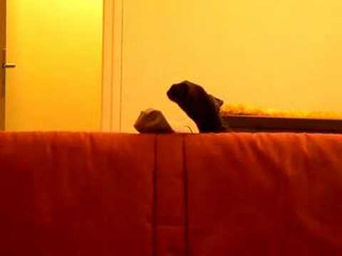 La ronde d'Arthur Schnitzler (extrait 1)
