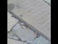 Manastirea Neamt
