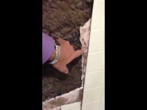 video-linktoworks-Mold Behind Your Shower Walls