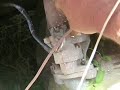 world war bee! starting the 77\ world war bee! starting the 77\
