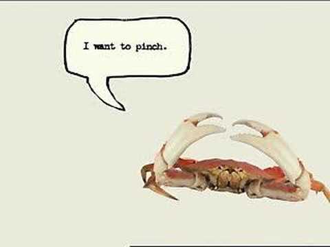 commercial crab element honda