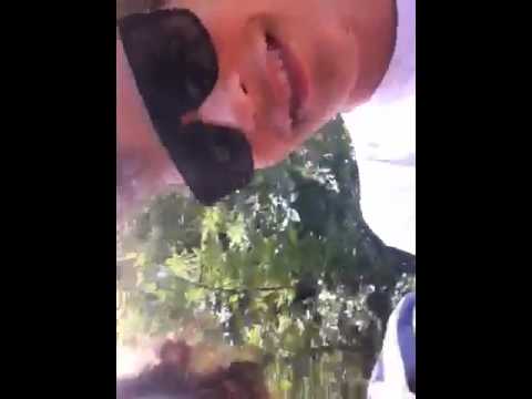 Video Gulm