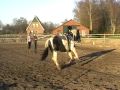 06 04 2010   Pepper voltige