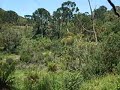 Tirolesa em Urubici - Parte 1
