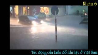Biến đổi khí hậu tại Việt Nam