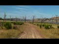 SANY0013.MP4