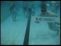 videos de Hipp Hipp Blindtest-mannen 4