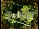 Tookie 2008 - Intro 01