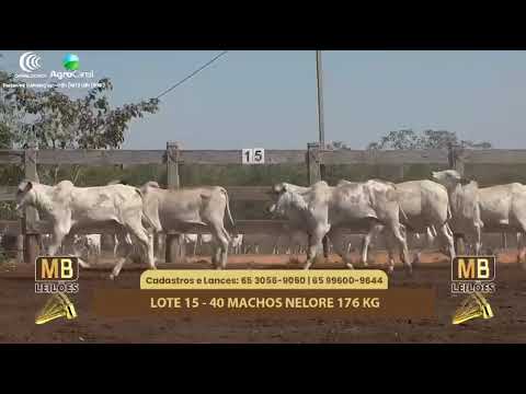 512� LEIL�O VIRTUAL MB LEIL�ES