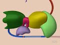 mRNA Splicing mRNA Splicing