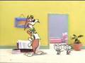 CN Shorties: Harasscat