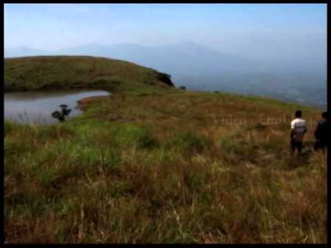 Wayanad video