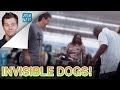 Invisible Dog Prank - Jack Vale - awkward, candid camera, dog, invisible, jack vale, prank, public, weird, wtf, funny