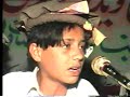 zadran attan zadran attan