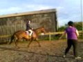 MY cousin having a short lunge on my horse