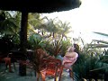 praia de boraceia