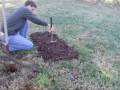 videos de Special Fertilizer