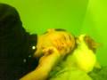 videos de MOV000003_msmpeg4v2.avi