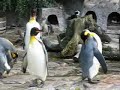 Ueno Zoo - ?????
