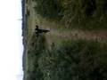 Dean Pretlove jumping into a bush