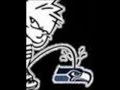 the seahawks suck!