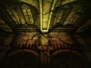 Nocturna - Frank Verhulst