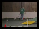 Jake's first agility run