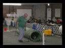 Jake's first agility run