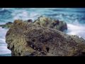 MI DUSHI ISLA KORSOU DOOR DE LENS VAN JESSY BALENTIN.m4v