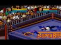 Wcw superbrawl snes all finishers in widescreen.. Video