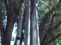 Wind Chimes