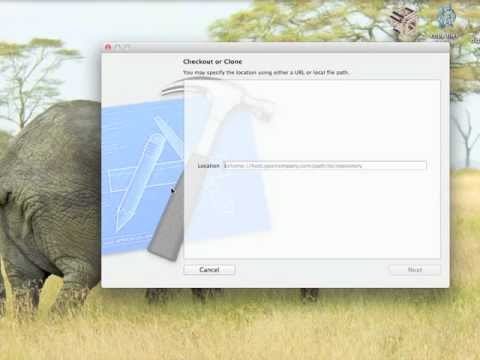 how to use git properly with xcode