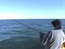 OzCoastAction - Ep7 Tuna Time