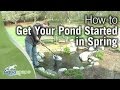 Spring Pond Start Up