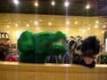 the worst animal fight EVER