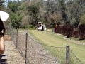 Cheetah Run 2