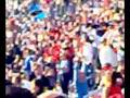 Pisa Triestina - festa in curva pisana