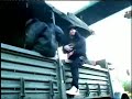 The Phobia 'Keep It Moving'