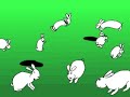 ouverture de la chasse